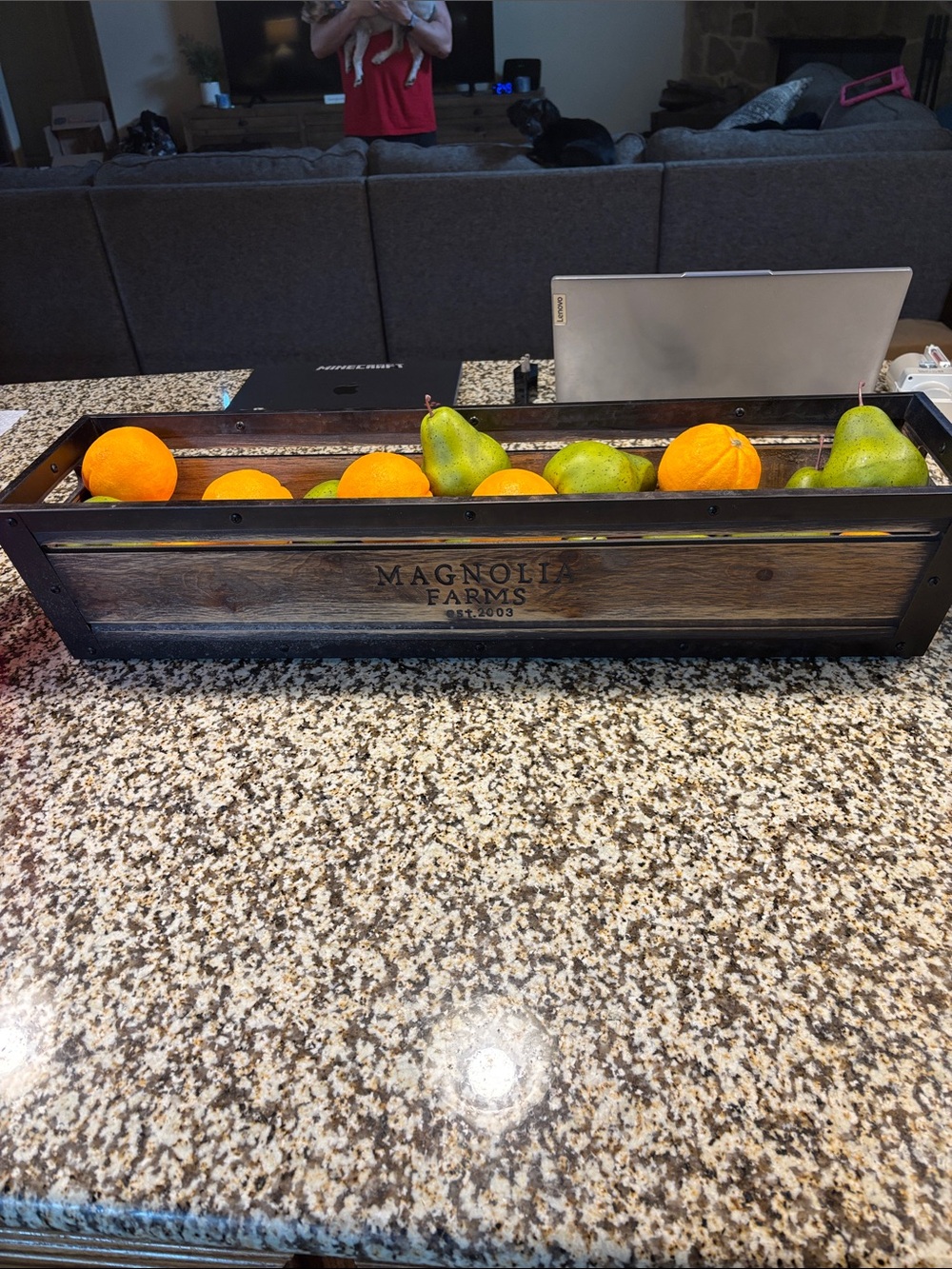 FRUIT ONLY! Faux Fruit Filler for table Display